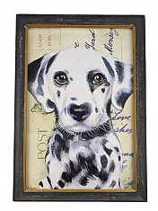 Schilderij Dalmatiër