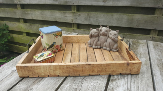 Dienblad gerecycled mangohout L