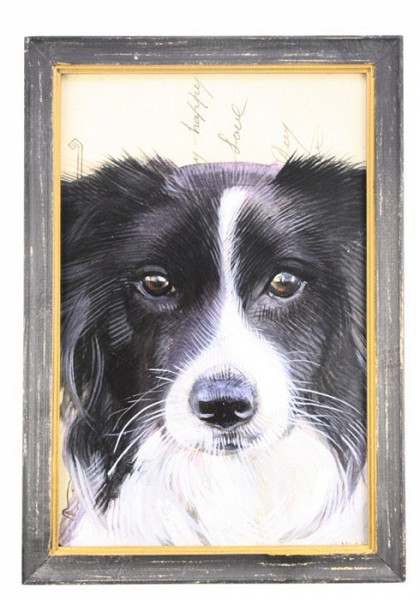 Schilderij Border Collie